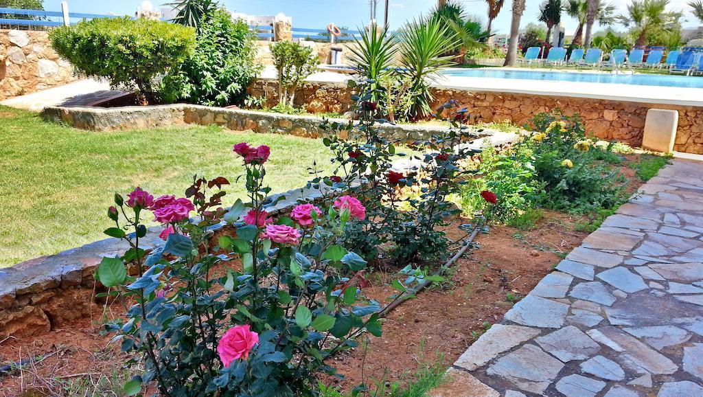 Cretan Family Apartments Malia Extérieur photo